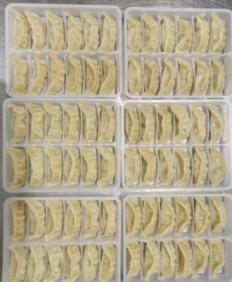 Salmon gyoza · Produktabbildung zur Orientierung